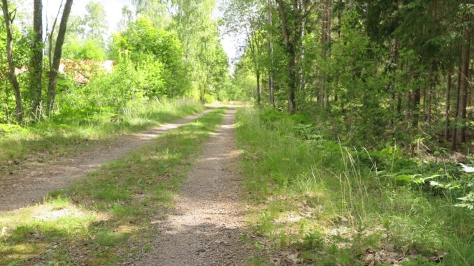äldre banvall